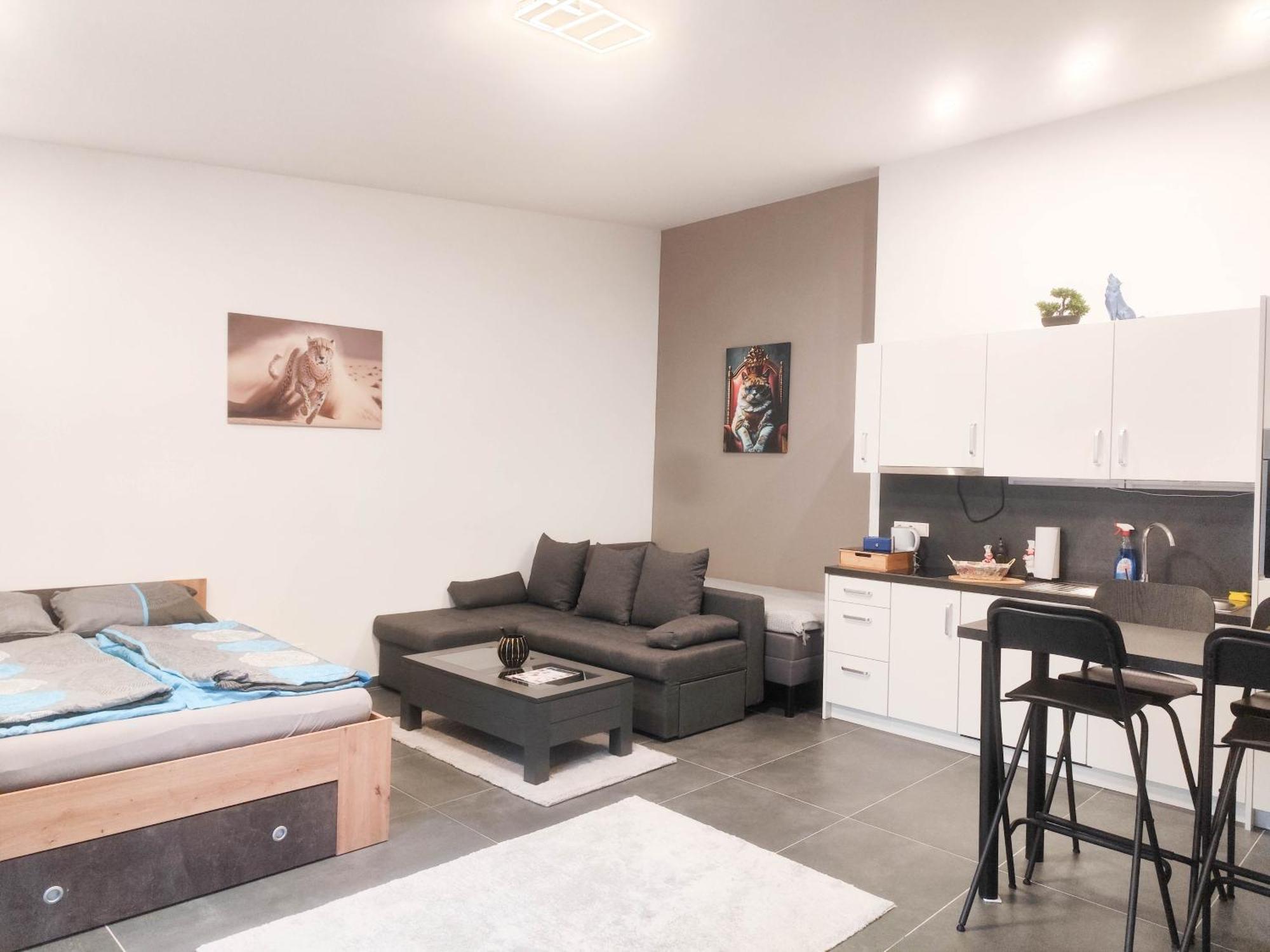 Cozy Apartments In Central Location With Free Parking Вена Экстерьер фото